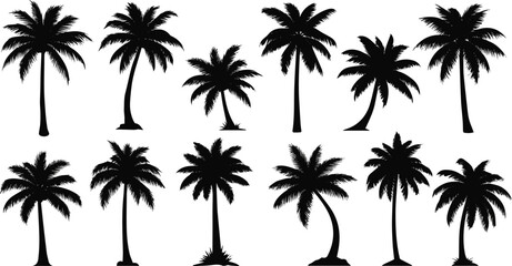 Fototapeta premium Isolated a kinds of deferent tropical palm tree silhouettes, perfect for summer, travel, vacation designs. palm tree Vector illustrations of diverse shapesvector art with white background.