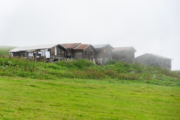 Obraz premium Fog surrounding Sal plateau houses in Rize, Turkey, near the Black Sea
