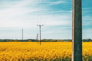 Electricity post with wires through cultivated canola rapeseed field