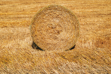 Round hay bale in the middle of a harvested golden field, captured from the front under summer light, symbolizing rural farming and agriculture.