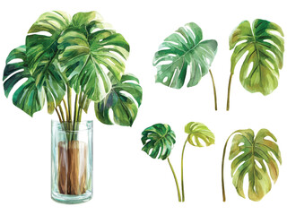 Obraz premium Watercolor monstera leaves set with glass vase and tropical greenery