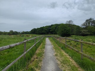 A gravel path leading toward dense green foliage - cow pasture