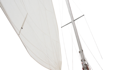 sailing on the white background