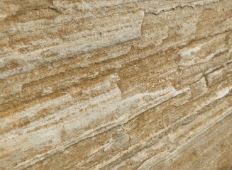 Textured natural stone surface revealing intricate patterns in warm tones
