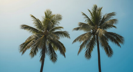 Two tall palm trees against a clear blue sky, showcasing tropical serenity and vacation vibes, ideal for travel or summer concepts
