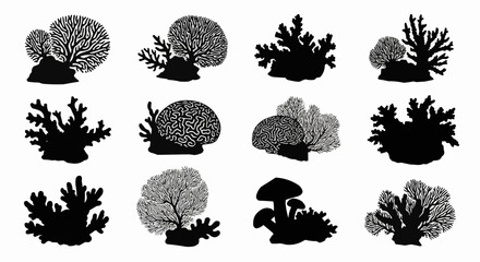 Coral Reef Silhouette Set on White Background &ndash; Tropical Sea Corals, Marine Plants, Ocean Reefs, Fan Coral, Staghorn, Brain Coral and Underwater Vector Silhouettes Isolated