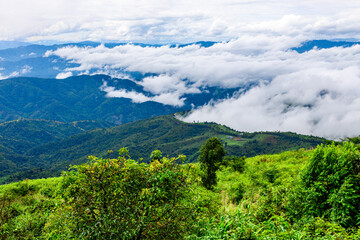 Obraz premium Panoramic nature background of mountain tops or from the top of a hill, where the trees are seen, hidden and there is beautiful light shining from the sky.
