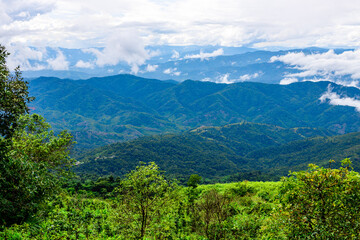 Obraz premium Panoramic nature background of mountain tops or from the top of a hill, where the trees are seen, hidden and there is beautiful light shining from the sky.
