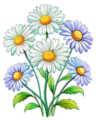 Fototapeta premium More Daisy flower ,white background