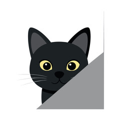 Fototapeta premium cat peeking from behind wall minimal design whit.eps