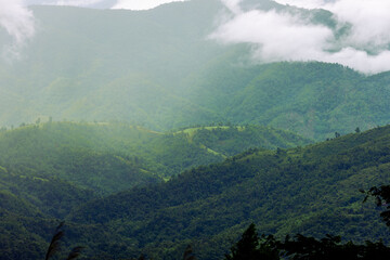Panoramic nature background of mountain tops or from the top of a hill, where the trees are seen, hidden and there is beautiful light shining from the sky.