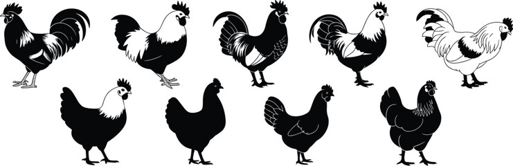 Rooster and hen silhouette set, detailed farm bird illustrations, poultry vector art, black and white chicken design, farmyard animals, vector collection, farm birds
