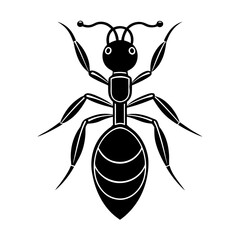 Ant, Vector illustration of an Ant, Ant icon,  Black and white ant illustration—precise, segmented insect anatomy in detail.