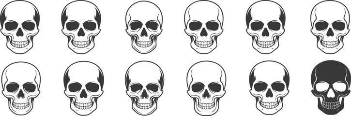 Set of detailed skull illustrations, black and white skull icons, human skull vector art, anatomical skull 