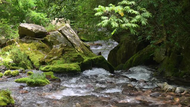 waterfall in the forest