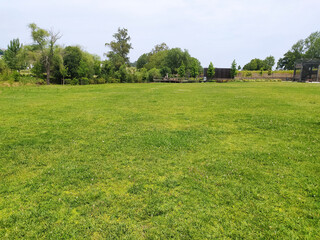 Expansive green field bordered by lush trees, under a soft sky. Ideal for outdoor events, recreation concepts, or symbolizing growth and open possibilities.