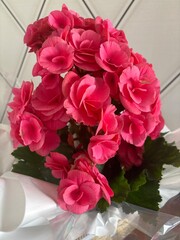 bouquet of roses