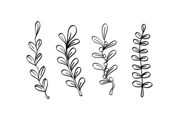 Set of hand drawn doodle branches with leaves.