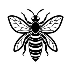 Stylized bee in monochrome, wings detailed with intricate line work and symmetry., Vector illustration of a wasp, vector illustration of a bee, Bee vector minimal.