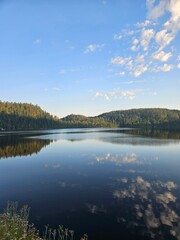 Fototapeta premium lake in the forest