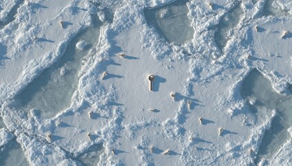 Ice surface with scattered objects
