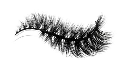 False eyelashes in curved shape with clear band, isolated on white background