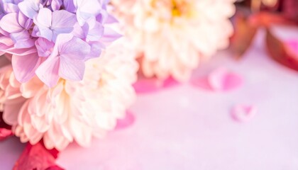 Fototapeta premium Delicate pastel flowers, soft focus