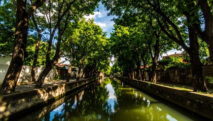 Fototapeta premium Canal lined with trees (1)
