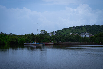 A tranquil coastal view of a pristine beach in Goa, India, captured during the monsoon season. beaches are covered with lush green trees and coconut trees. 
