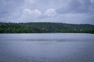 A tranquil coastal view of a pristine beach in Goa, India, captured during the monsoon season. beaches are covered with lush green trees and coconut trees. 