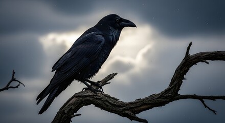 Majestic Raven on Bleak Branch (AI Generated)