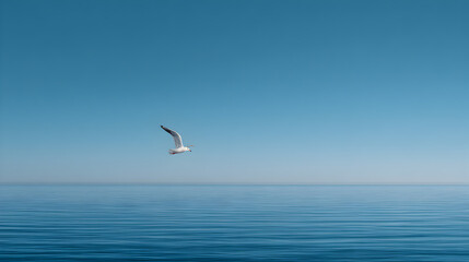 Fototapeta premium Lone Seagull Flying Over a Calm Blue Sea