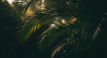 Sunlit palm fronds, lush green foliage, tropical setting, dappled light.