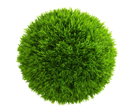 Vibrant green grass sphere for outdoor decoration and landscaping on a transparent background, cut out