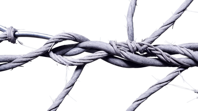 A detailed close up of gray metal strands of barbed wire twisted and intertwined forming a complex knot like an abstract industrial barrier texture