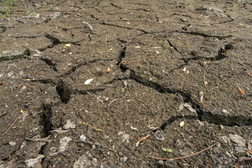 Dry cracked earth close-up texture. Soil erosion. Climatechange Concept