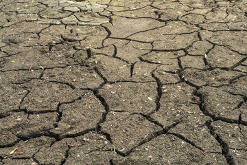 Dry cracked earth close-up texture. Soil erosion. Climatechange Concept