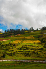 Fototapeta premium Ancient terrace made by Inca in Sacred Valley, Peru 