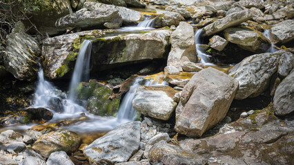 Small stream in the forest.