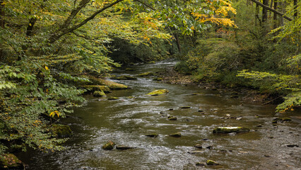 River in the forest on a fall day.