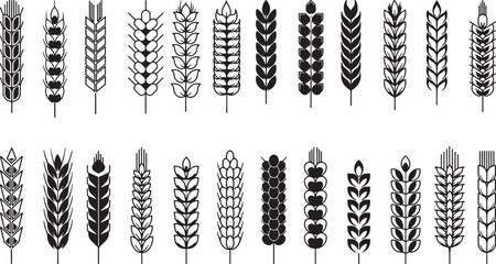 Black and white vector art of 24 unique wheat ears. Includes a variety of detailed wheat spikes.