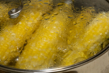 Cobs of sweet corn  in a pot of water boiled. Cooking sweet corn in saucepan. Tasty corn on cobs