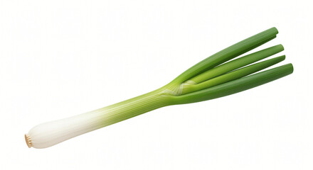 Fresh Green Onion: Culinary Ingredient on White