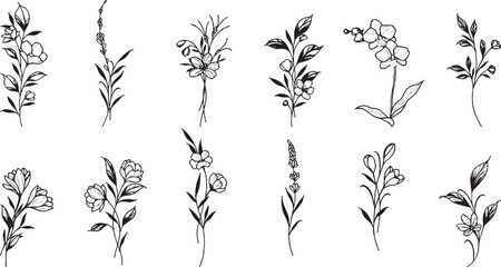 Elegant set of hand-drawn floral vectors, including leaves, flowers, and branches.