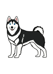 siberian husky dog vector illustration white background  © Jagone Mas Zan