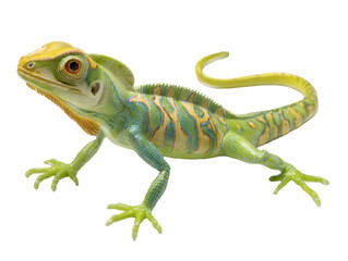 Obraz premium Colorful lizard in vibrant hues exploring its environment on a transparent background, cut out
