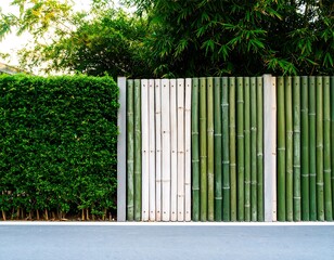 Naklejka premium A garden fence with bamboo and shrubs