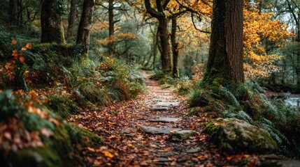 Fototapeta premium Serene Autumn Pathway Through Enchanted Forest with Colorful Leaves