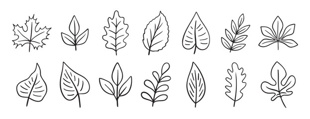leaves different trees doodle hand drawn icon set. Outline drawing line clipart symbol collection