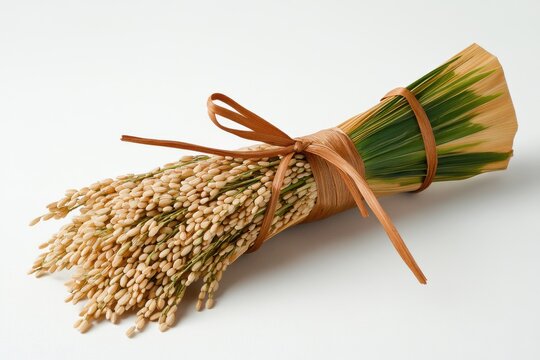 Harvested rice bundle tied with raffia on white background, showcasing agriculture and tradition.